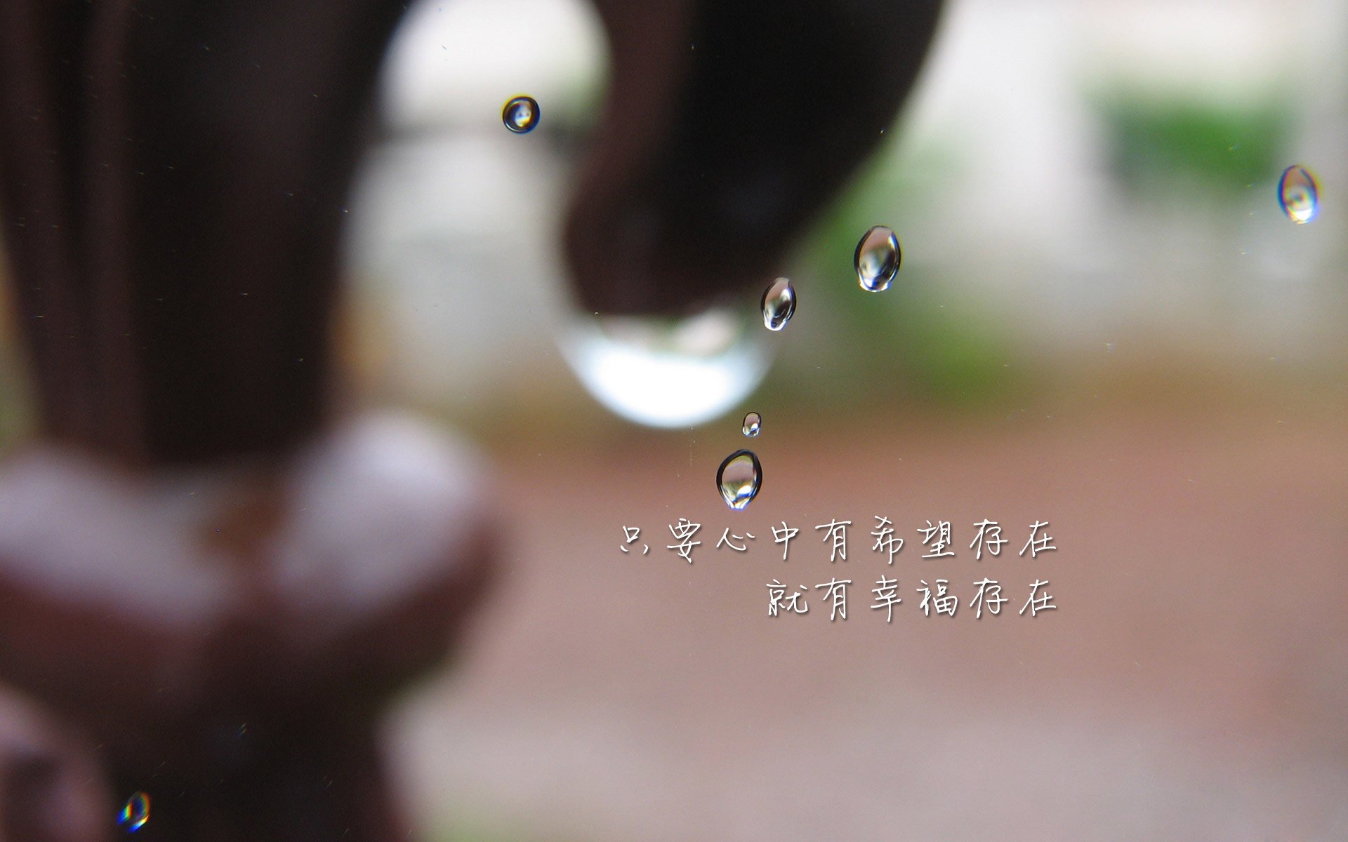 上海青少年篮球培训基地正式投入使用，上海青少年篮球队