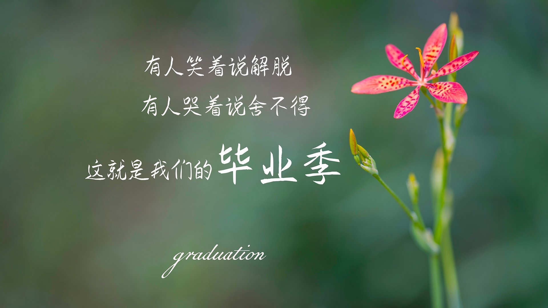 篮球比赛数据分析助教练决策优化，篮球比赛数据统计表格