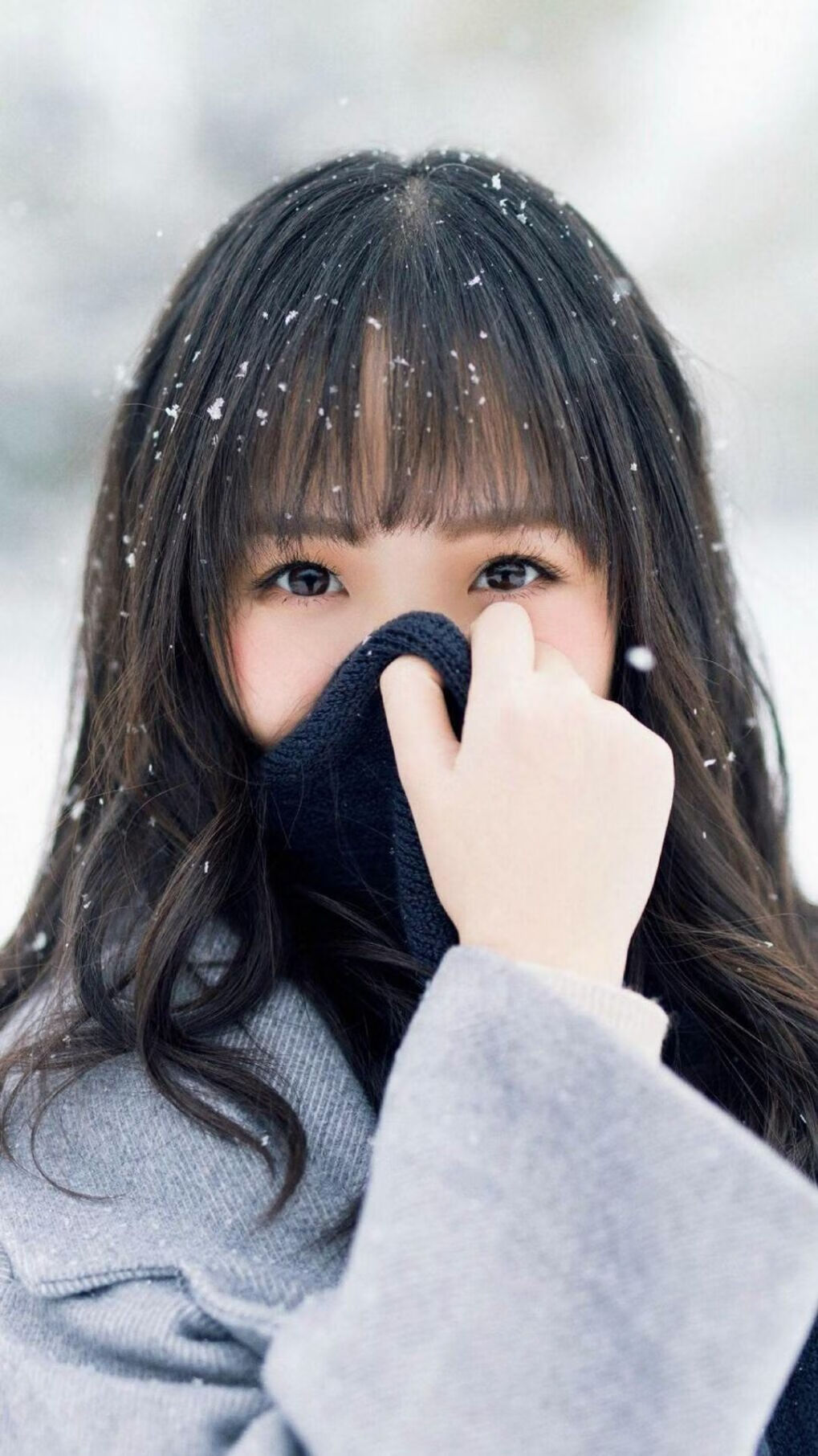 活塞客场不敌奇才，继续领先东部，活塞比赛赛程