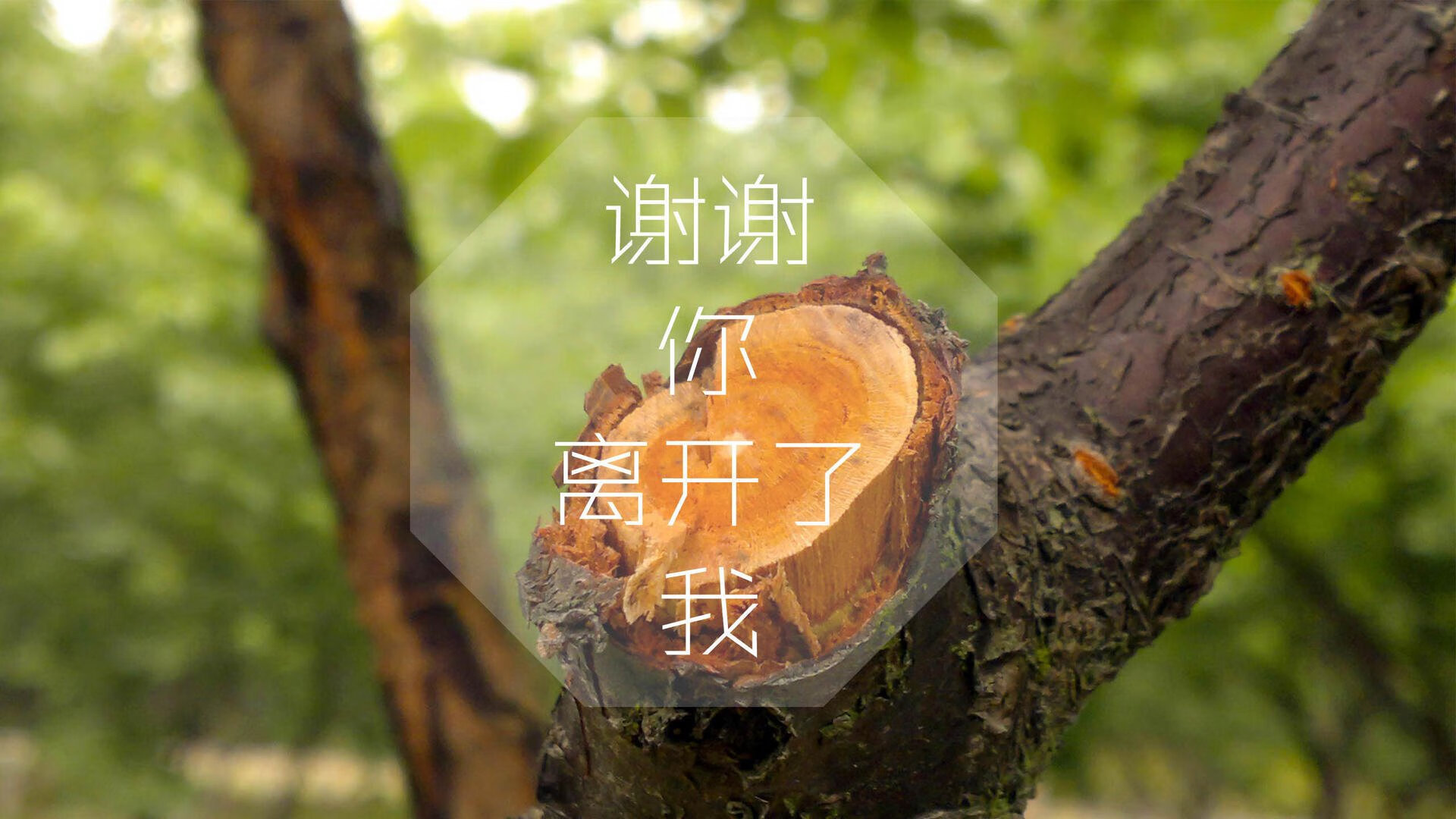 世界高校体育联赛中国队表现抢眼，高校体育排行榜