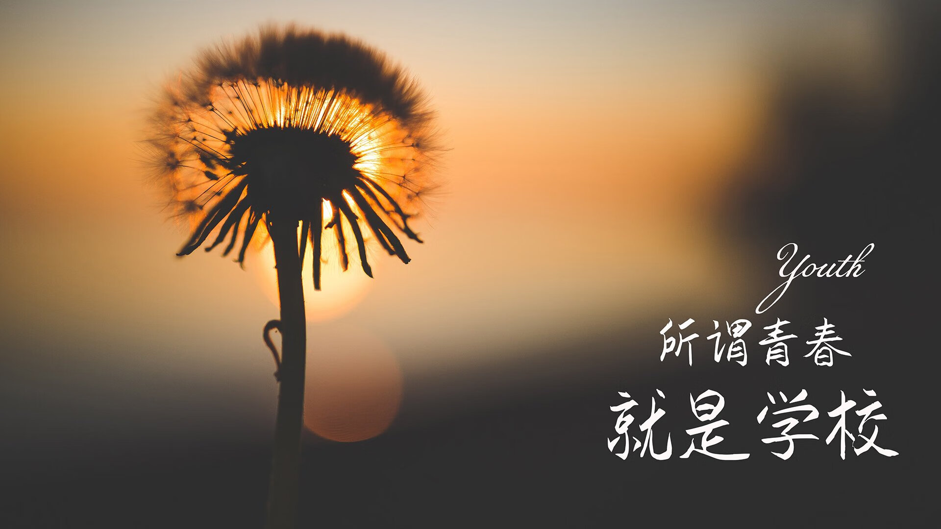 亚洲杯中国青年队复仇 球迷庆祝胜利时刻，亚洲杯中国青年队复仇 球迷庆祝胜利时刻视频