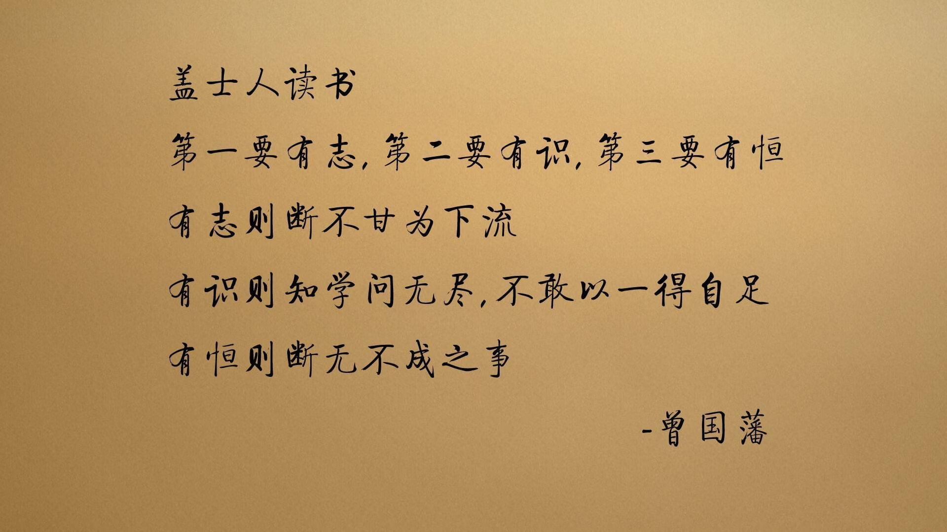 美国队赛制分析：如何在复杂赛制中保持团队默契，美国队比赛视频