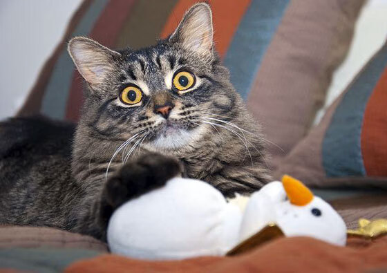 西甲激情四溢:奋勇突击,精彩不断!,西甲经典比赛